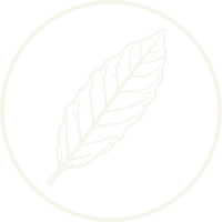 WILD BOTANICALS