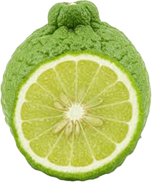 MAKRUT LIME