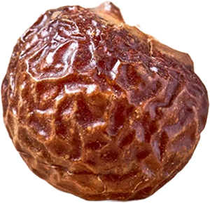 WILD-HARVESTED SOAP NUT