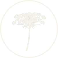 FLORAL COMPLEXITY