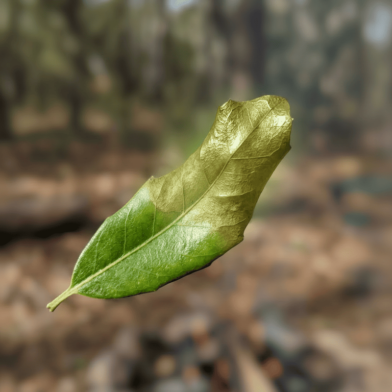 003 SMALL-BATCH ROASTING